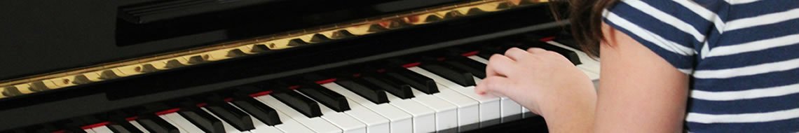 Activités proposées